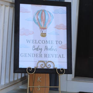 Up in the Air Gender Reveal Poster
