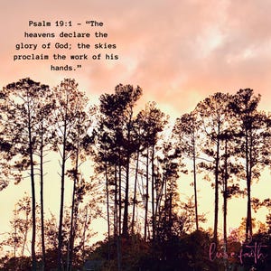The heavens declare the glory of God; the skies proclaim the work of his hands,