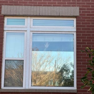 May include: A white-framed window with multiple panes, set in a red brick wall. The window reflects a blue sky and bare tree branches. A hand is visible inside the window.
