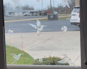 May include: Window screen with decorative hummingbird and geometric shapes. The birds and shapes are made of iridescent material, reflecting a rainbow of colors. The scene is viewed from inside, with a street and buildings visible outside.