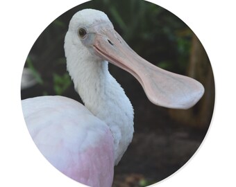 Roseate Spoonbill Runda Vinylklistermärken