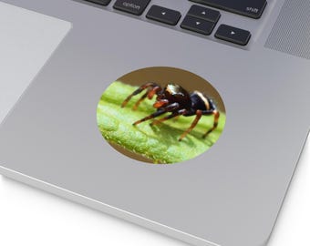 Tiny Spider Round Vinyl Sticker