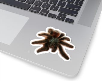 Tarantula Sticker: Waterproof Vinyl Decal - Creepy Arachnid Art
