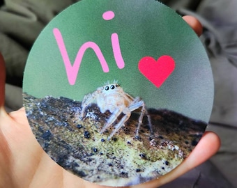Hello Spider Round Vinyl Sticker