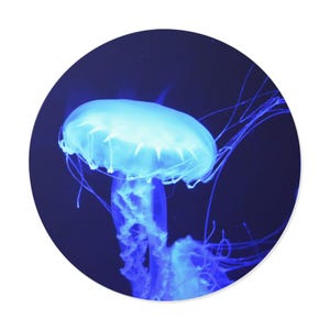 Blue Jellyfish Round Vinyl Sticker