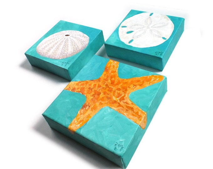 Beach Wall Art for Home and Office, Sand Dollar, Sea Urchin and Star
