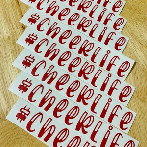 Cheerlife Inspired Decal. Great for Cars, tumblers, laptops, journals, folders...again the possibilities are endless.