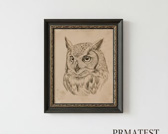 Vintage Owl Wall Art-Printable Digital Download | Rustic Animal Drawing for Home Decor
