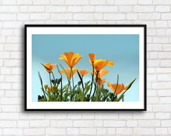 May include: A framed print featuring vibrant orange California poppies against a clear, light blue sky. The flowers are in full bloom, with green stems and leaves. The artwork is displayed in a black frame.