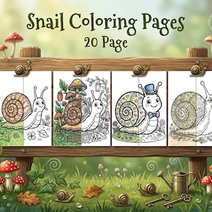 May include: A wooden sign displays four snail coloring pages, each featuring a different snail design. The sign is decorated with mushroom accents and snail figurines. The text "Snail Coloring Pages 20 Page" is at the top.