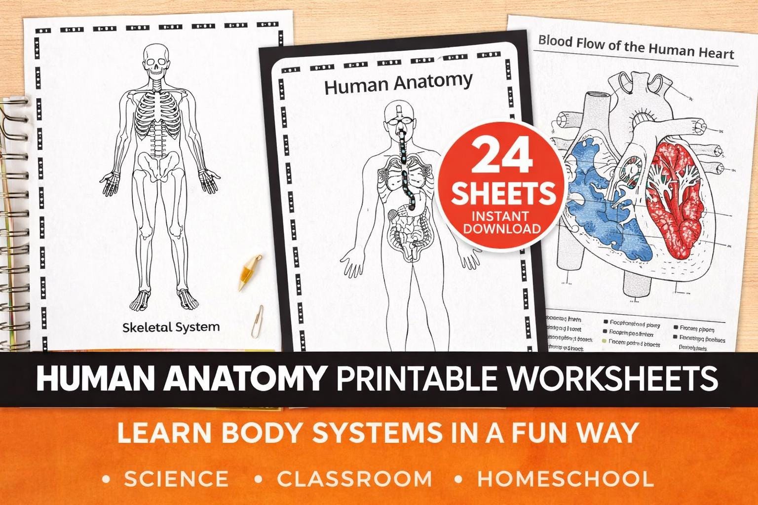 Anatomy Worksheets PDF | Skeletal, Muscular, Nervous & Body Systems - Etsy