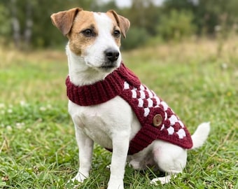 Schema per maglione all'uncinetto per cani in formato PDF / Maglione per cani di piccola taglia Grandma Square