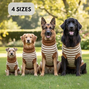 Può includere: Quattro cani di razze diverse, ognuno con un maglione a righe marroni e bianche, seduti sull'erba verde. Il testo "4 SIZES" è in un rettangolo bianco. I cani sono in un ambiente simile a un parco.