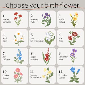 May include: A chart titled Choose your birth flower featuring twelve numbered sections. Each section displays a month, a flower name, and a colored illustration of the corresponding birth flower, including carnation, violet, daffodil, daisy, lily of the valley, rose, larkspur, gladiolus, aster, cosmos, chrysanthemum, and gentian.