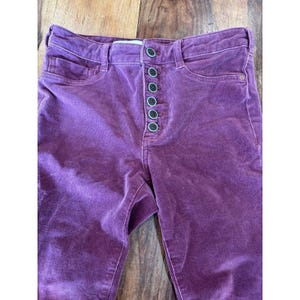 Anthropologie Pilcro solidne fioletowe aksamitne legginsy Serif obcisłe spodnie 28 zdjęcie 13