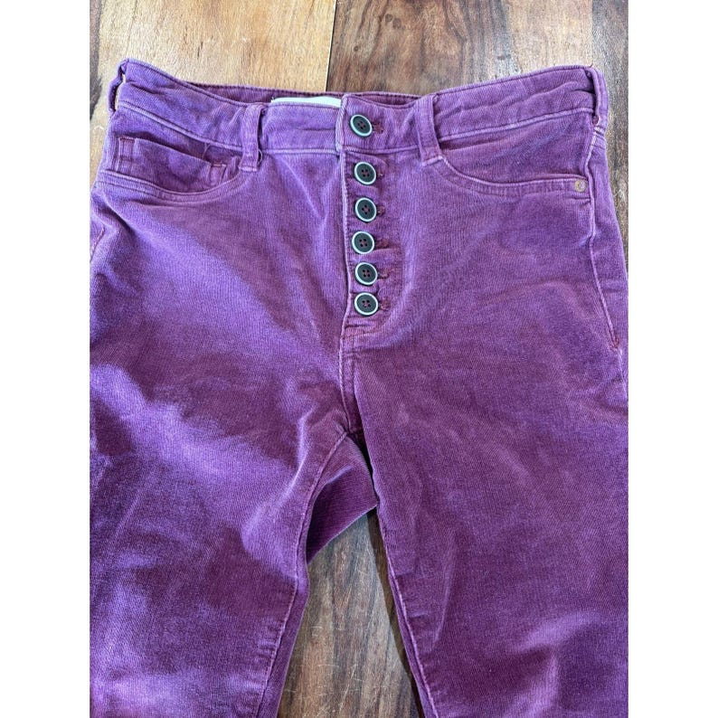 Anthropologie Pilcro solidne fioletowe aksamitne legginsy Serif obcisłe spodnie 28 zdjęcie 13