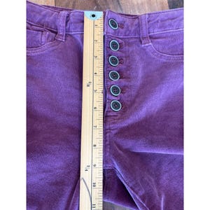 Anthropologie Pilcro solidne fioletowe aksamitne legginsy Serif obcisłe spodnie 28 zdjęcie 5