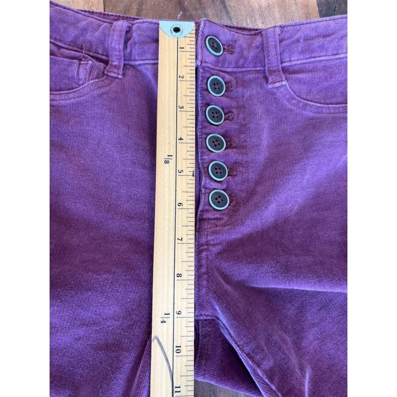Anthropologie Pilcro solidne fioletowe aksamitne legginsy Serif obcisłe spodnie 28 zdjęcie 5