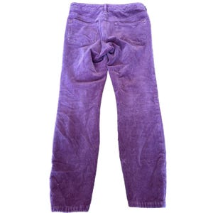 Anthropologie Pilcro solidne fioletowe aksamitne legginsy Serif obcisłe spodnie 28 zdjęcie 2
