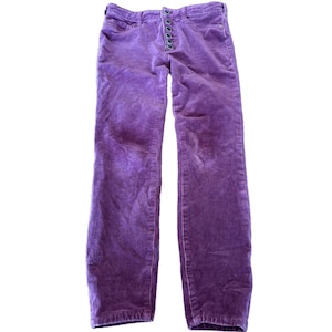 Anthropologie Pilcro solidne fioletowe aksamitne legginsy Serif obcisłe spodnie 28 zdjęcie 1
