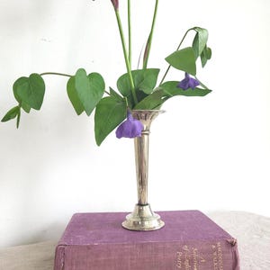 May include: A silver vase with a flared top, containing green leaves and purple flowers, sits on a purple book. The book is titled "A Selection of English Poetry". The background is a plain white wall.