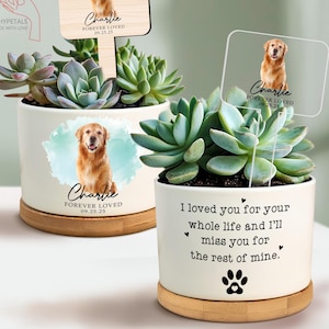 May include: Two white ceramic planters with succulents, each featuring a Golden Retriever image and the text "Charlie Forever Loved 09.25.25." One planter has a wooden sign with the same image. The other has a clear sign.