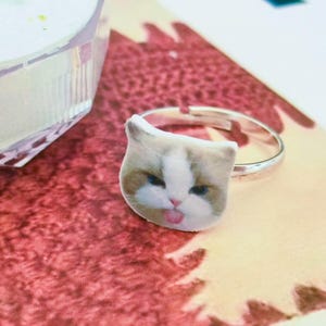 Custom Pet Portrait Ring for Her, Personalized Gift, Mom Ring Gift Custom Pet Portrait Ring, Pet Signet Ring for Cat Mom Best Pet Gift