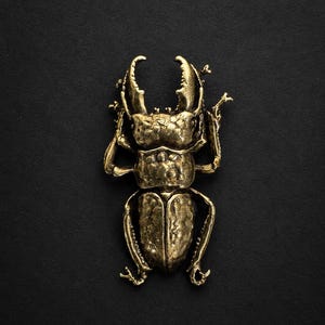 May include: A detailed, golden-colored beetle figurine with textured surfaces and prominent mandibles. The insect-themed sculpture is set against a dark background, highlighting its intricate design and metallic finish. This decorative piece could be a brooch or a small sculpture.
