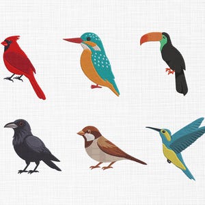 May include: A collection of six embroidered bird designs. The birds include a red cardinal, a turquoise and orange kingfisher, a black toucan with an orange beak, a black crow, a brown sparrow, and a blue hummingbird with yellow accents.