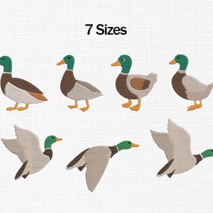 May include: An illustration of seven embroidered ducks in various poses. The ducks have green heads, brown and tan bodies, and yellow beaks and feet. The text "7 Sizes" is above the ducks.