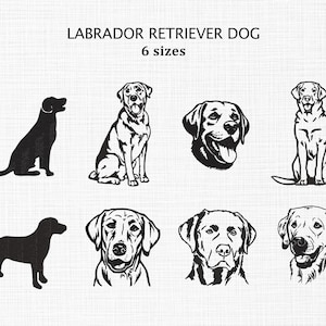 Motifs de broderie chien Labrador, fichier de broderie Machine pour amoureux des chiens, ensemble de broderie chien, broderie dessin au trait, lot de chien Labrador