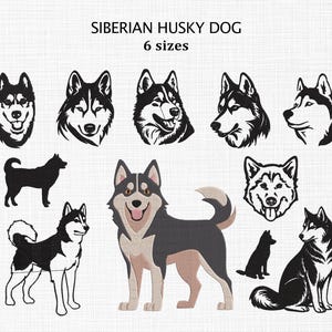 Könnte beinhalten: Verschiedene Illustrationen von Siberian Husky-Hunden in Schwarzweiß und in Farbe. Das Bild enthält den Text "SIBERIAN HUSKY DOG" und "6 Größen". Die Hunde werden in verschiedenen Posen und Stilen gezeigt.