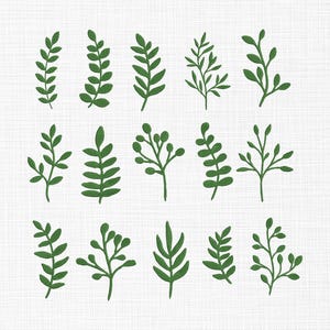 Puede incluir: Una colección de ilustraciones botánicas verdes con varios diseños de hojas y ramas. Las hojas varían en forma y tamaño, algunas con bordes redondeados y otras más puntiagudas. El fondo es blanco texturizado.