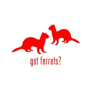 May include: Two red ferret silhouettes on a white background. Below the ferrets, the text reads "got ferrets?" in red. The image is a simple, graphic design.