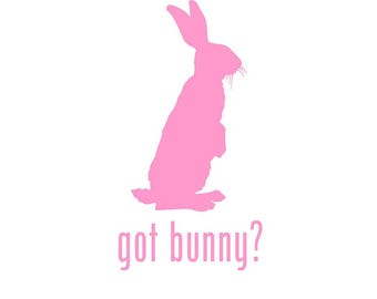 GOT Bunny Rabbit PET  Die Cut Vinyl Decal Sticker for Car Truck Motorcycle Window Bumper Wall Decor