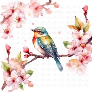 Clipart de pássaro em aquarela: PNG de pássaro floral, diário de lixo (download digital)