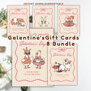 May include: A bundle of Galentine's Day gift cards with illustrations of geese in various scenarios. The cards feature text like "Bestie Sleepovers" and "Fashion Icons." The overall design is a soft, pink and beige color scheme.