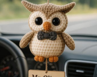 Leuke gehaakte uil voor leraar, decor klas, aangepaste leraar autobedel, handgemaakte leraar sleutelhanger, gepersonaliseerd cadeau leraar waardering