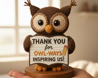 Gehaakte uil leraar cadeau, handgemaakte amigurumi uil, gepersonaliseerd bedankje voor opvoeder, schattige uil knuffel voor klas decor