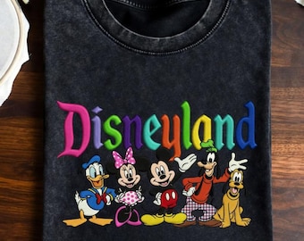 Besticktes Magic Kingdom Shirt, Vintage Acid Wash T-Shirt, Mickey und Friends besticktes T-Shirt, Retro Comfort Colors ästhetischer Familienausflug