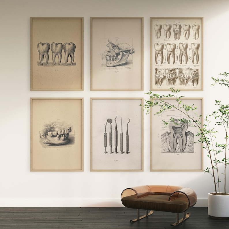 Set of six vintage dental anatomy wall art prints in wooden frames, displayed in a modern interior with a chair and plant, perfect for dentist offices or clinics.