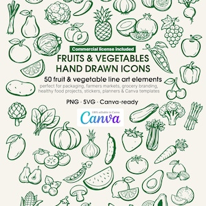 Puede incluir: Una colección de 50 iconos de frutas y verduras dibujados a mano en verde sobre un fondo crema. La imagen incluye ilustraciones de diversos productos como manzanas, plátanos y zanahorias. El texto incluye "FRUITS & VEGETABLES HAND DRAWN ICONS" y "Canva".