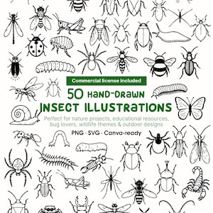 Può includere: Una collezione di 50 illustrazioni di insetti disegnate a mano in bianco e nero con vari insetti, ragni e aracnidi. Il testo centrale recita 50 HAND-DRAWN INSECT ILLUSTRATIONS, Commercial license included, PNG SVG Canva-ready.