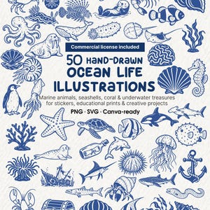 May include: A collection of 50 blue hand-drawn ocean life illustrations featuring marine animals, seashells, coral, and underwater treasures. The text reads 50 HAND-DRAWN OCEAN LIFE ILLUSTRATIONS, Commercial license included, and PNG SVG Canva-ready.