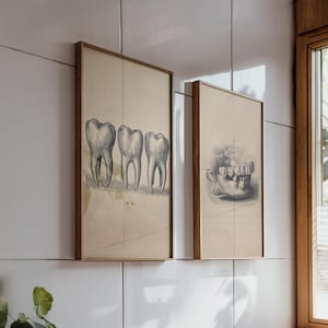 Three framed vintage dental posters featuring a jaw illustration, dental tools, and tooth cross-section, hanging on the wall of a bright dental clinic.