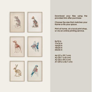 Complete set of six veterinary anatomy posters shown together, with included size options for printing in inches and centimeters. The artwork set features anatomy illustrations of a dog, cat, rabbit, rat, fish, and parrot, each revealing skeletal and muscular details. Designed as printable wall art for vet clinics, animal hospitals, classrooms, or science-inspired home decor, suitable for various frames and wall spaces.