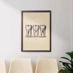 Two framed vintage dental prints with wooden frames hanging on a tiled wall near a window, featuring tooth and jaw anatomy drawings.