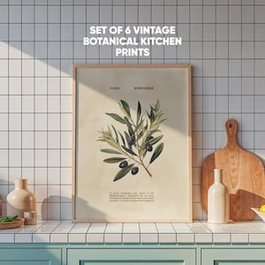 Vintage Botanical Kitchen Prints: Herb & Vegetable Wall Art (Digital Download)