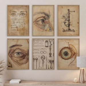 Puede incluir: Seis impresiones enmarcadas de estilo vintage con ilustraciones y diagramas anatómicos del ojo. Las impresiones están en tonos neutros, con dibujos detallados de ojos, gafas e instrumentos ópticos. La obra de arte se exhibe en una pared de color claro.