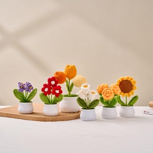 Cute Crochet Sunflower/Tulip/Rose Plants,Crochet Flowers,Thank You For Helping Me Grow,Emotional Support Gift,Thank You Gift,Teacher Gifts